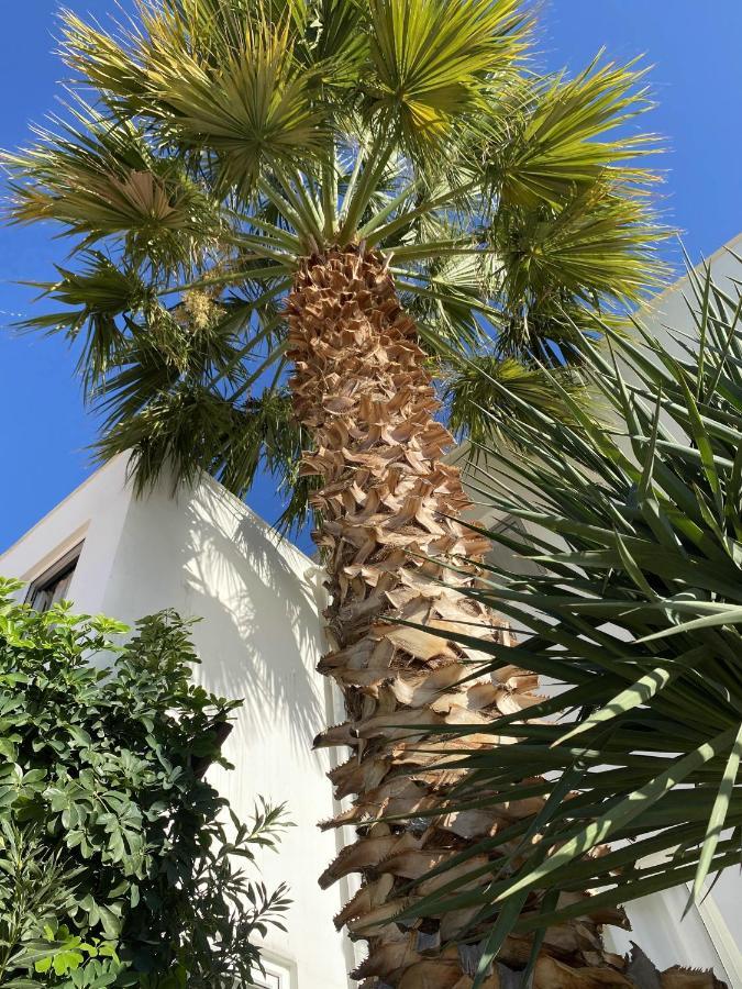 Villa Sezen Kalkan Exterior foto
